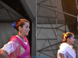 Festival de Folkore en Mula